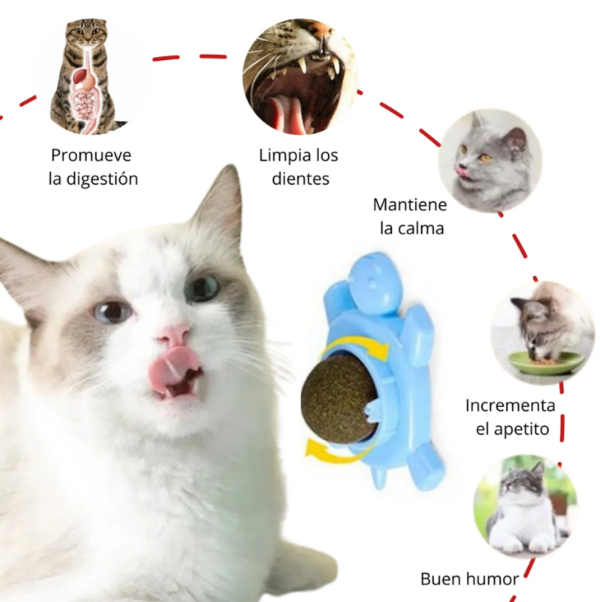 Catnip Ball Tortuga Celeste - Imagen 2